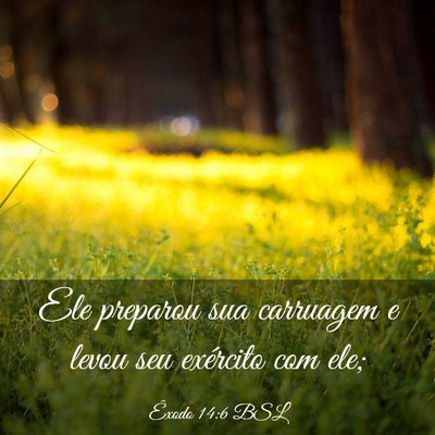 Picture 03 - Êxodo 14:6 BSL - Ele preparou sua carruagem e levou seu exército - Bible Verse Picture