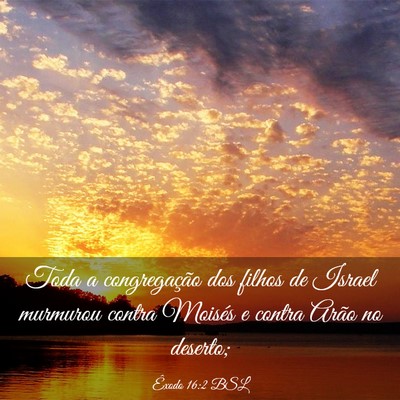 Picture 03 - Êxodo 16:2 BSL - Toda a congregação dos filhos de Israel - Bible Verse Picture
