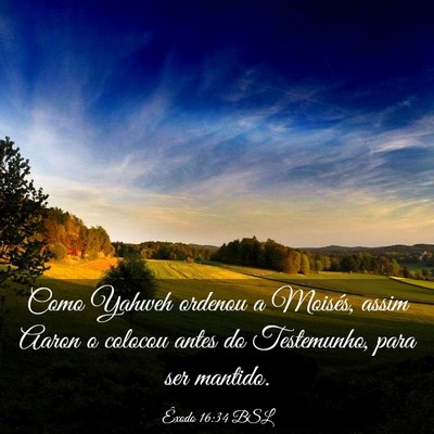 Picture 03 - Êxodo 16:34 BSL - Como Yahweh ordenou a Moisés, assim Aaron o - Bible Verse Picture