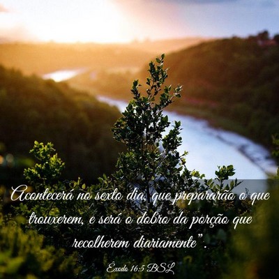 Picture 03 - Êxodo 16:5 BSL - Acontecerá no sexto dia, que prepararão o que - Bible Verse Picture