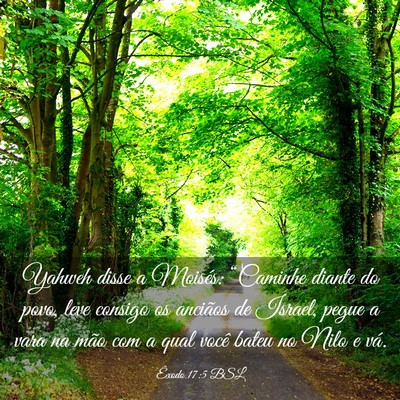 Picture 03 - Êxodo 17:5 BSL - Yahweh disse a Moisés: “Caminhe diante do - Bible Verse Picture