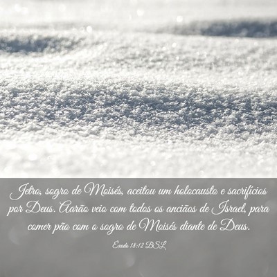 Picture 03 - Êxodo 18:12 BSL - Jetro, sogro de Moisés, aceitou um holocausto e - Bible Verse Picture