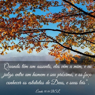 Picture 03 - Êxodo 18:16 BSL - Quando têm um assunto, eles vêm a mim, e eu - Bible Verse Picture