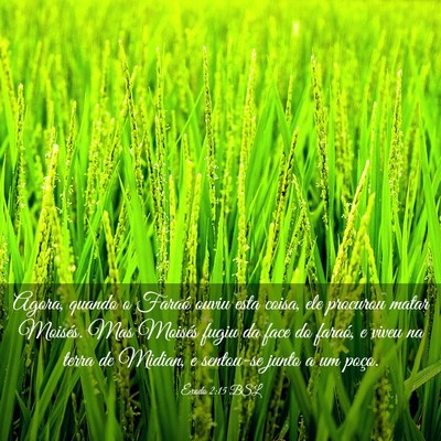 Picture 03 - Êxodo 2:15 BSL - Agora, quando o Faraó ouviu esta coisa, ele - Bible Verse Picture