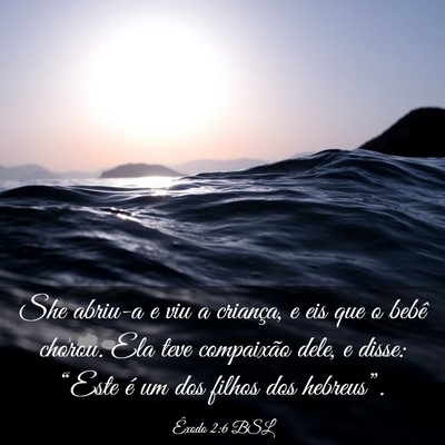 Picture 03 - Êxodo 2:6 BSL - She abriu-a e viu a criança, e eis que o bebê - Bible Verse Picture