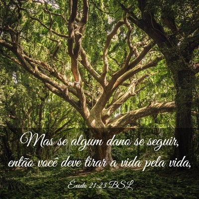 Picture 03 - Êxodo 21:23 BSL - Mas se algum dano se seguir, então você deve - Bible Verse Picture