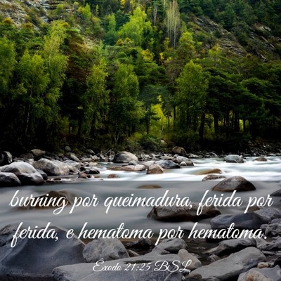 Picture 03 - Êxodo 21:25 BSL - burning por queimadura, ferida por ferida, e - Bible Verse Picture