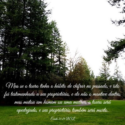 Picture 03 - Êxodo 21:29 BSL - Mas se o touro tinha o hábito de chifrar no - Bible Verse Picture