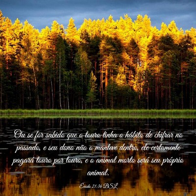 Picture 03 - Êxodo 21:36 BSL - Ou se for sabido que o touro tinha o hábito de - Bible Verse Picture