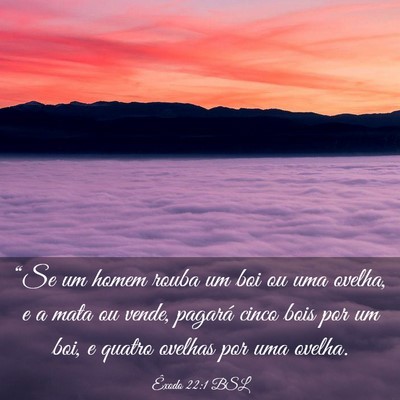Picture 03 - Êxodo 22:1 BSL - “Se um homem rouba um boi ou uma ovelha, e a - Bible Verse Picture