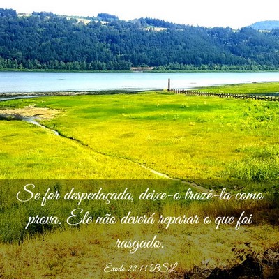 Picture 03 - Êxodo 22:13 BSL - Se for despedaçada, deixe-o trazê-la como - Bible Verse Picture