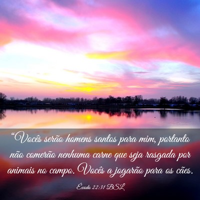 Picture 03 - Êxodo 22:31 BSL - “Vocês serão homens santos para mim, portanto - Bible Verse Picture