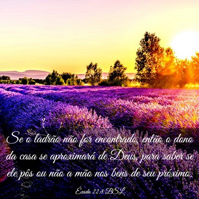 Picture 03 - Êxodo 22:8 BSL - Se o ladrão não for encontrado, então o dono - Bible Verse Picture