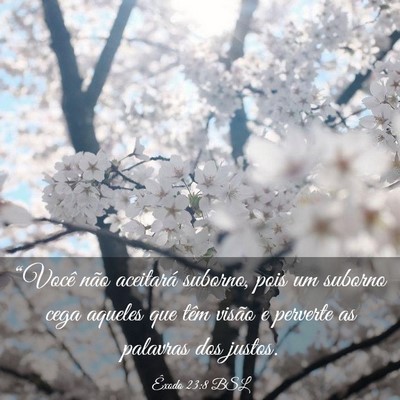 Picture 03 - Êxodo 23:8 BSL - “Você não aceitará suborno, pois um suborno - Bible Verse Picture