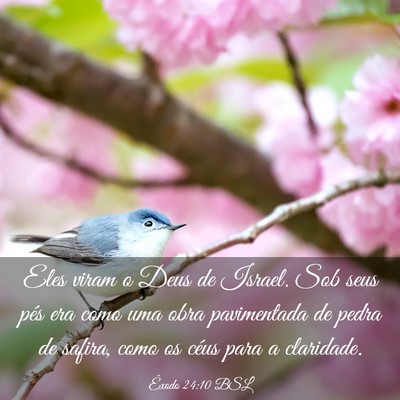 Picture 03 - Êxodo 24:10 BSL - Eles viram o Deus de Israel. Sob seus pés era - Bible Verse Picture