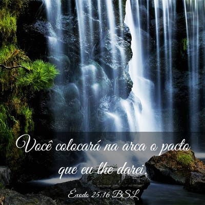 Picture 03 - Êxodo 25:16 BSL - Você colocará na arca o pacto que eu lhe - Bible Verse Picture