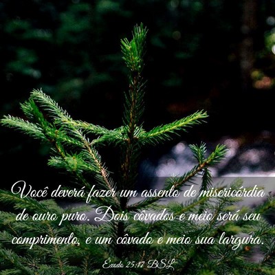 Picture 03 - Êxodo 25:17 BSL - Você deverá fazer um assento de misericórdia - Bible Verse Picture