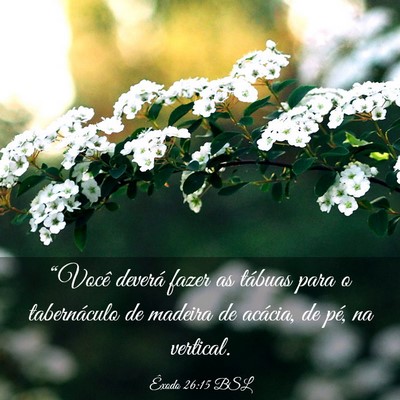 Picture 03 - Êxodo 26:15 BSL - “Você deverá fazer as tábuas para o - Bible Verse Picture