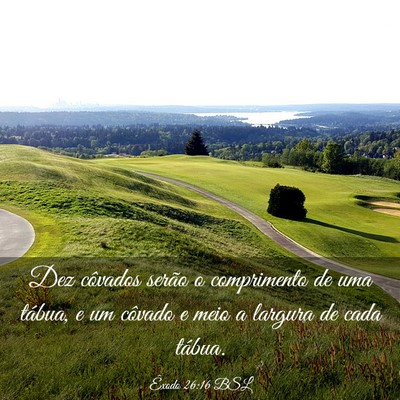 Picture 03 - Êxodo 26:16 BSL - Dez côvados serão o comprimento de uma tábua, - Bible Verse Picture