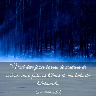 Picture 03 - Êxodo 26:26 BSL - “Você deve fazer barras de madeira de acácia: - Bible Verse Picture