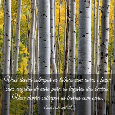 Picture 03 - Êxodo 26:29 BSL - Você deverá sobrepor as tábuas com ouro, e - Bible Verse Picture