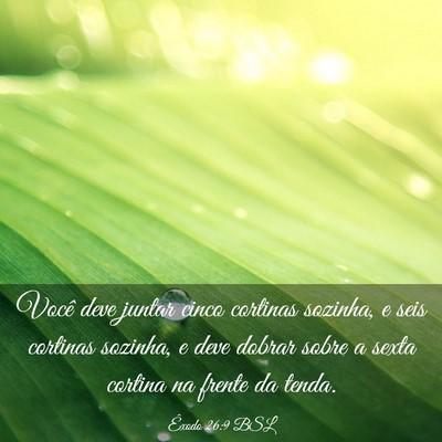 Picture 03 - Êxodo 26:9 BSL - Você deve juntar cinco cortinas sozinha, e seis - Bible Verse Picture