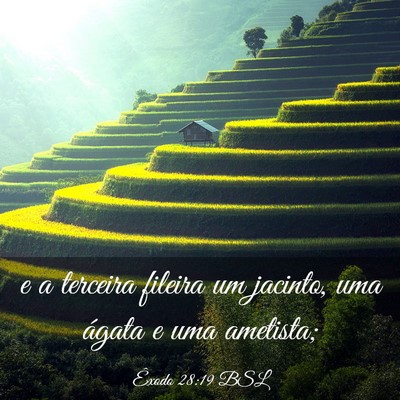 Picture 03 - Êxodo 28:19 BSL - e a terceira fileira um jacinto, uma ágata e uma - Bible Verse Picture