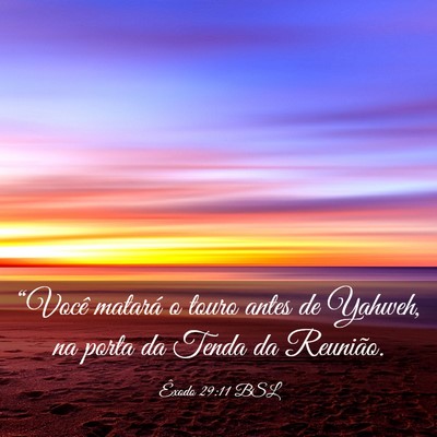 Picture 03 - Êxodo 29:11 BSL - “Você matará o touro antes de Yahweh, na - Bible Verse Picture
