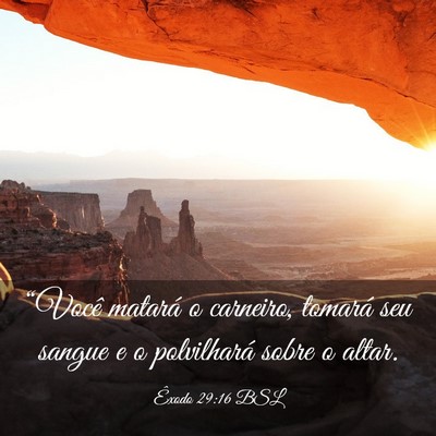 Picture 03 - Êxodo 29:16 BSL - “Você matará o carneiro, tomará seu sangue e - Bible Verse Picture