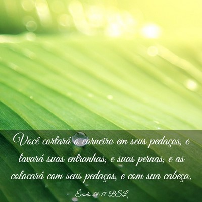 Picture 03 - Êxodo 29:17 BSL - Você cortará o carneiro em seus pedaços, e - Bible Verse Picture