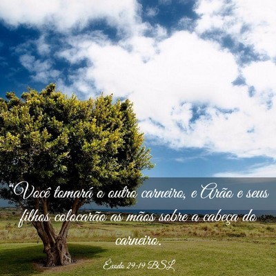 Picture 03 - Êxodo 29:19 BSL - “Você tomará o outro carneiro, e Arão e seus - Bible Verse Picture