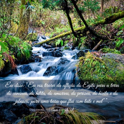 Picture 03 - Êxodo 3:17 BSL - Eu disse: “Eu vos tirarei da aflição do Egito - Bible Verse Picture