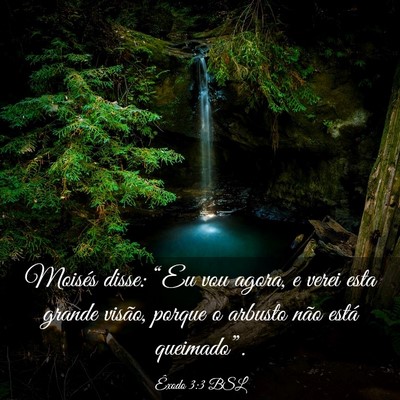 Picture 03 - Êxodo 3:3 BSL - Moisés disse: “Eu vou agora, e verei esta - Bible Verse Picture