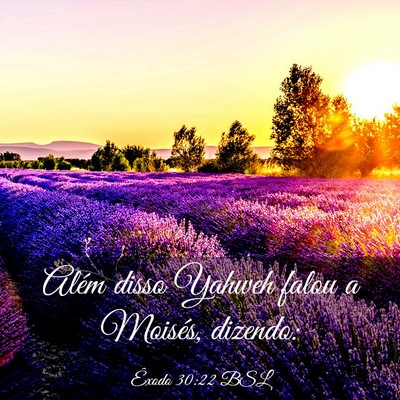 Picture 03 - Êxodo 30:22 BSL - Além disso Yahweh falou a Moisés, - Bible Verse Picture