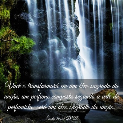 Picture 03 - Êxodo 30:25 BSL - Você o transformará em um óleo sagrado da - Bible Verse Picture
