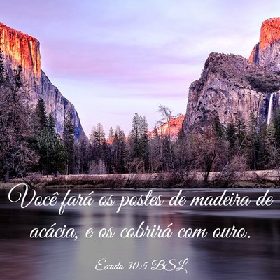 Picture 03 - Êxodo 30:5 BSL - Você fará os postes de madeira de acácia, e os - Bible Verse Picture
