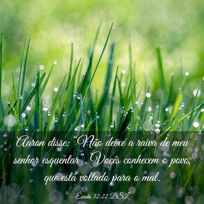 Picture 03 - Êxodo 32:22 BSL - Aaron disse: “Não deixe a raiva de meu senhor - Bible Verse Picture