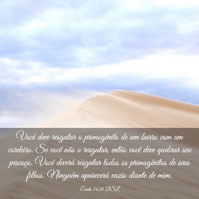 Picture 03 - Êxodo 34:20 BSL - Você deve resgatar o primogênito de um burro - Bible Verse Picture