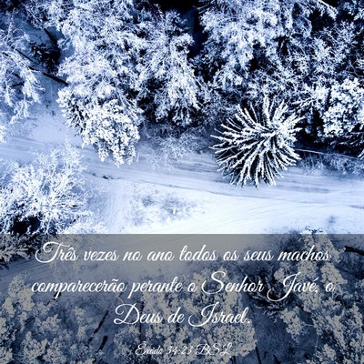 Picture 03 - Êxodo 34:23 BSL - Três vezes no ano todos os seus machos - Bible Verse Picture