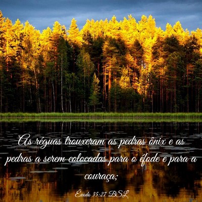 Picture 03 - Êxodo 35:27 BSL - As réguas trouxeram as pedras ônix e as pedras - Bible Verse Picture