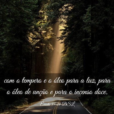 Picture 03 - Êxodo 35:28 BSL - com o tempero e o óleo para a luz, para o óleo - Bible Verse Picture