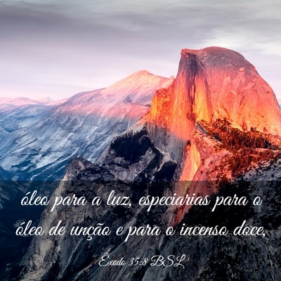 Picture 03 - Êxodo 35:8 BSL - óleo para a luz, especiarias para o óleo de - Bible Verse Picture