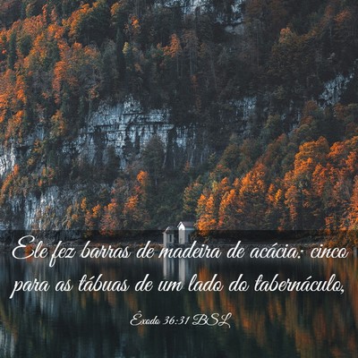 Picture 03 - Êxodo 36:31 BSL - Ele fez barras de madeira de acácia: cinco para - Bible Verse Picture