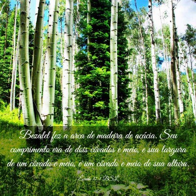 Picture 03 - Êxodo 37:1 BSL - Bezalel fez a arca de madeira de acácia. Seu - Bible Verse Picture