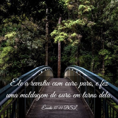 Picture 03 - Êxodo 37:11 BSL - Ele a revestiu com ouro puro, e fez uma moldagem - Bible Verse Picture