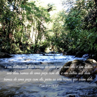 Picture 03 - Êxodo 37:21 BSL - e um botão sob dois ramos de uma peça com ele, - Bible Verse Picture