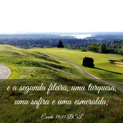 Picture 03 - Êxodo 39:11 BSL - e a segunda fileira, uma turquesa, uma safira e - Bible Verse Picture