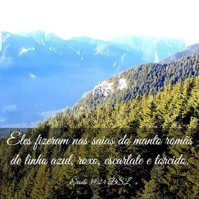 Picture 03 - Êxodo 39:24 BSL - Eles fizeram nas saias do manto romãs de linho - Bible Verse Picture