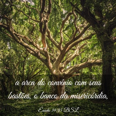Picture 03 - Êxodo 39:35 BSL - a arca do convênio com seus bastões, o banco da - Bible Verse Picture