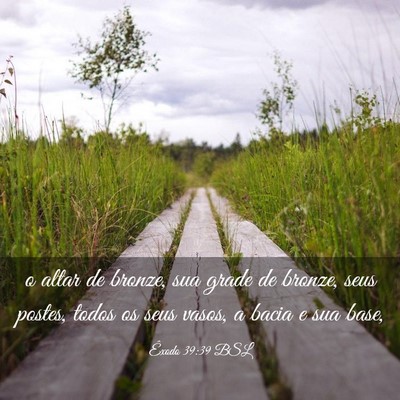 Picture 03 - Êxodo 39:39 BSL - o altar de bronze, sua grade de bronze, seus - Bible Verse Picture